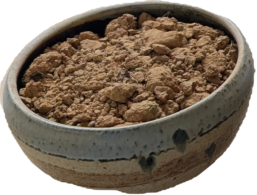 Wild Clay Main Bowl